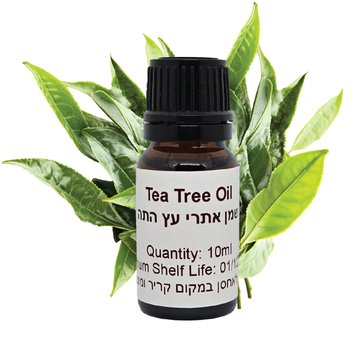 שמן-אתרי-עץ-התה