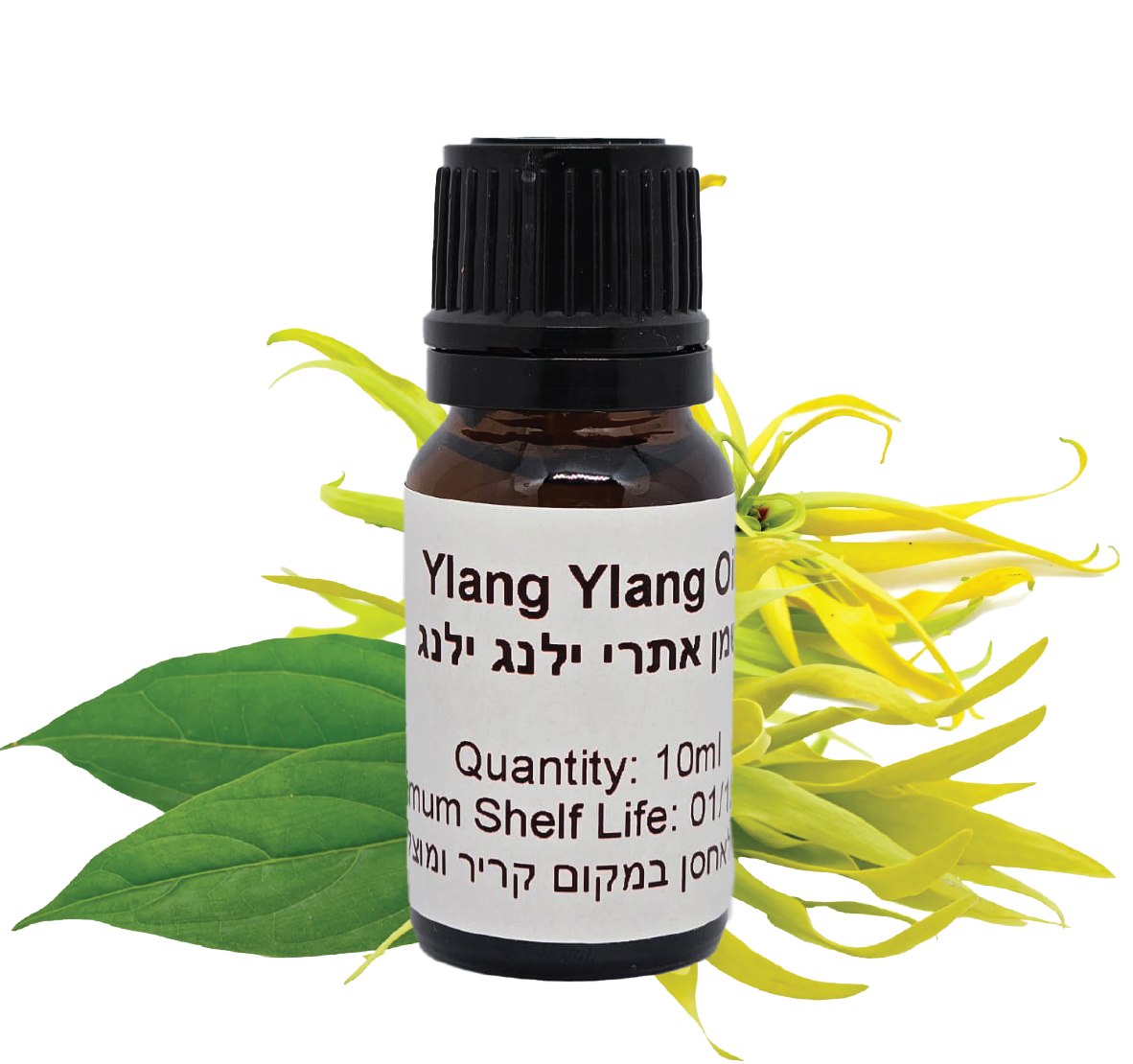 שמן-אתרי-ילנג-ילנג