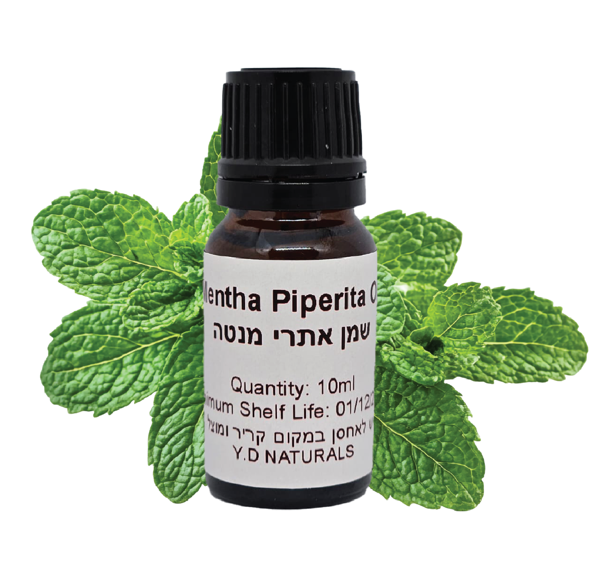 שמן-אתרי-מנטה